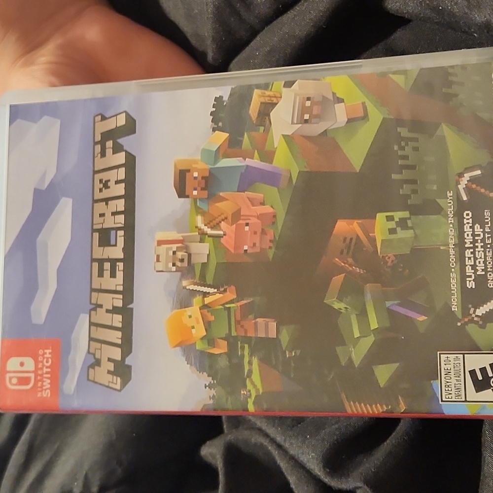 Nitendo switch minecraft
